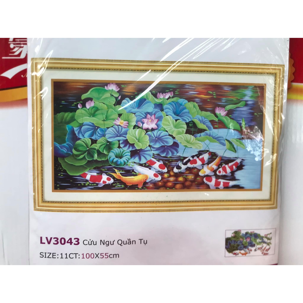 Tranh thêu chữ thập cá cửu ngư quần hội KT:100x55cm, Tranh chưa thêu và chưa khung, Tặng kéo và sỏ chỉ.