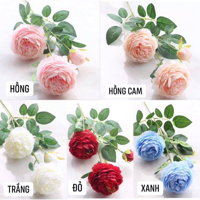 Hoa Mẫu Đơn lụa