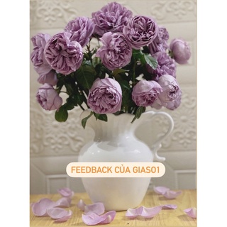 Lọ hoa sứ trắng phong cách Bắc Âu_ Lọ hoa Bình Sữa Thiên Nga