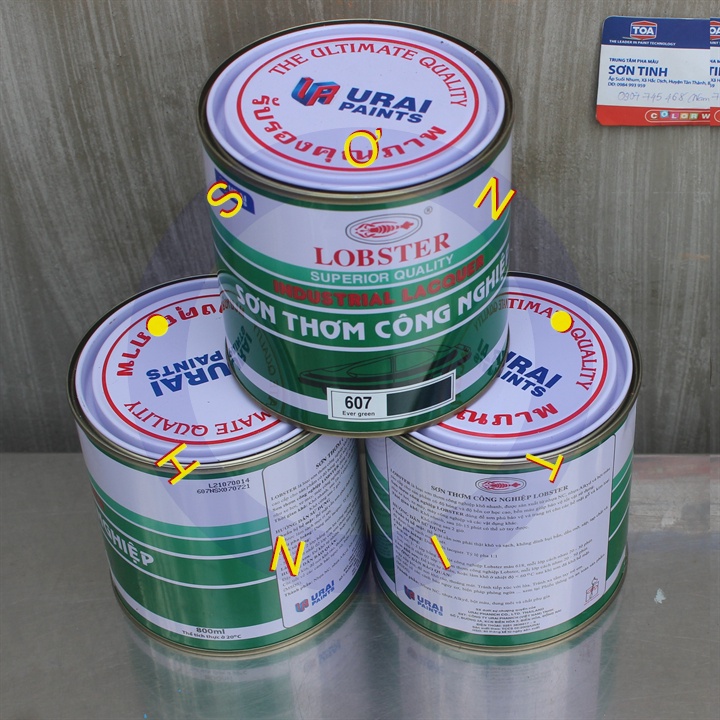 Sơn thơm công nghiệp Lobster màu xanh đen ever green 607 800ml