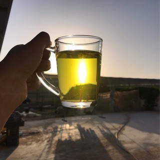 Saffron - Tây Ban Nha