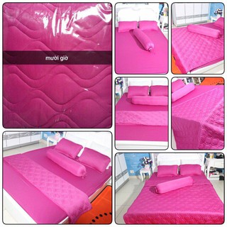 [SIÊU SALE] [HỔ TRỢ PVC] Xả kho Bộ ga giường giá rẻ thun Hàn Quốc mát mịn (chọn màu)