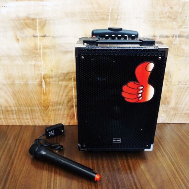 Loa Bluetooth Karaoke KingWe Q8