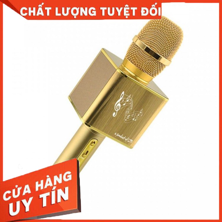 Micro Karaoke Bluetooth Kèm Loa LTP YS12 hỗ trợ chức năng hát song ca_Bảo hành 06 tháng