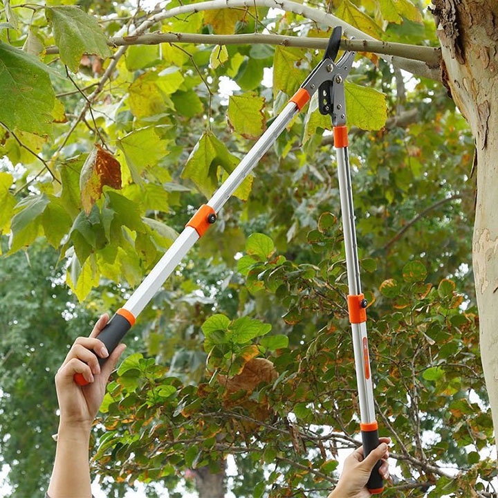 Kéo Kìm cắt tỉa cành cây Cộng Lực Có Tăng Độ Dài Cán SK-5- NNTM