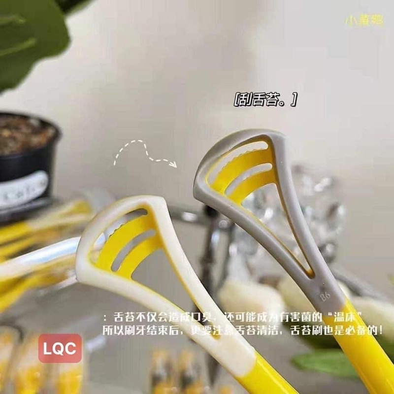 Hộp 8 bàn chải đánh răng vịt vàng kèm cạo lưỡi, có nắp đậy, an toàn vệ sinh (2in1) hãng G.DUCK, có thể mang đi du lich