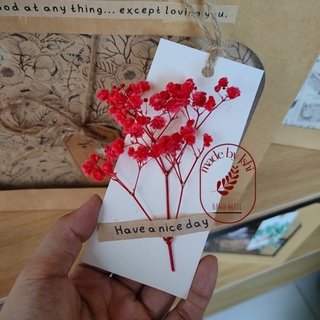 Túi giấy kraft (tag hoa baby khô)