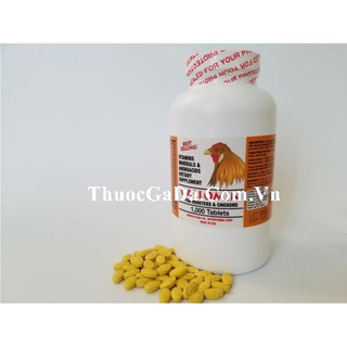 Thuốc Nuôi Gà Đá GALLOMIN Của Mỹ Nuôi Theo Chế Độ Đá (1 HỘP 100 VIÊN)