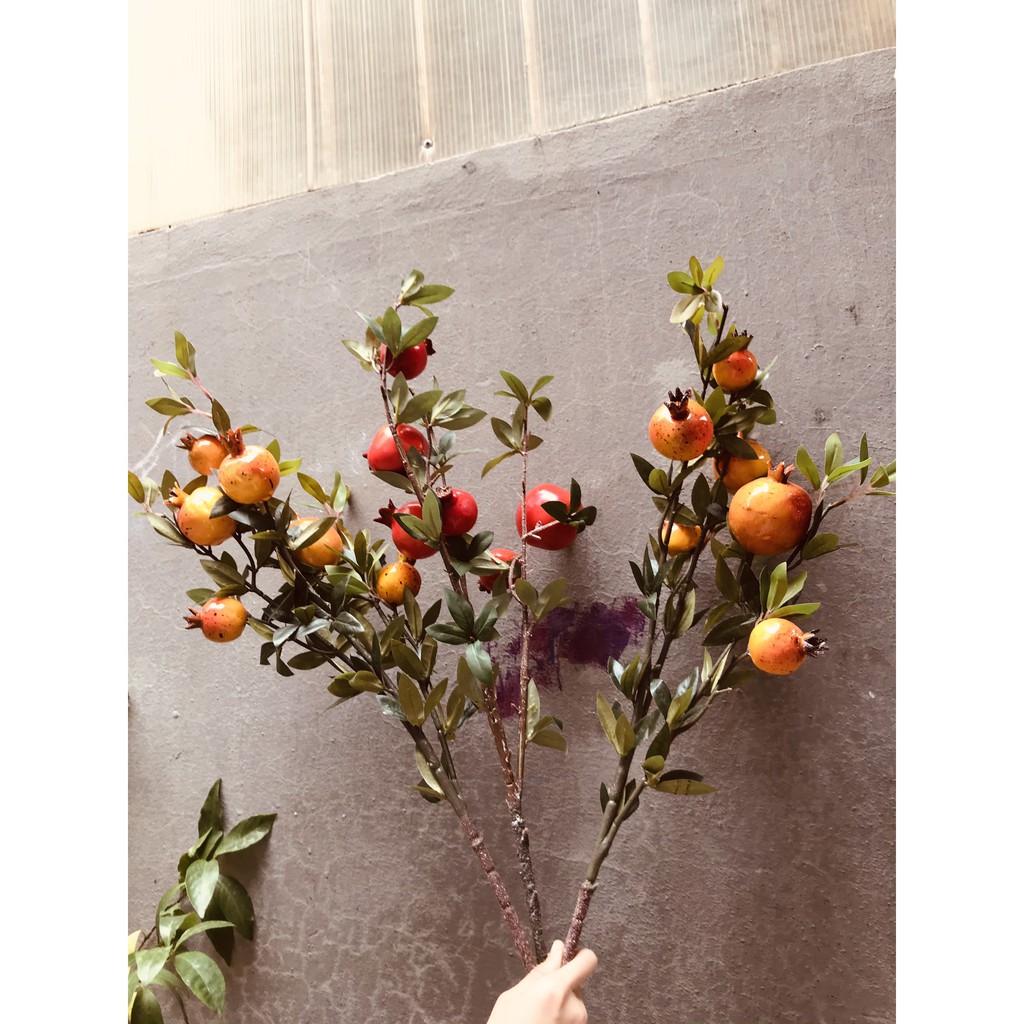 CÀNH LỰU PHONG THỦY 6 QUẢ TO CAO 80 cm