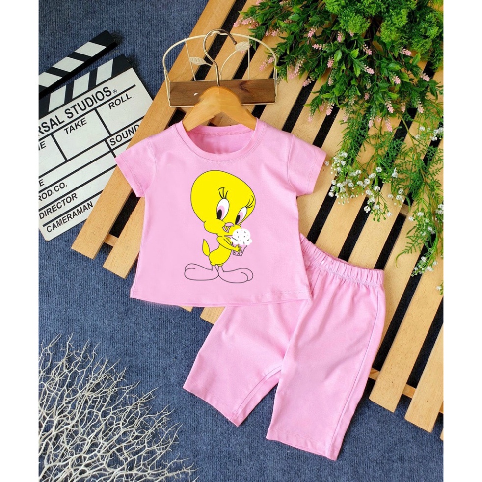 ( Khuyến mãi ) Bộ bé gái hình con vịt màu vàng ôm chậu hoa cho bé từ 6-28kg .BDBG53. .