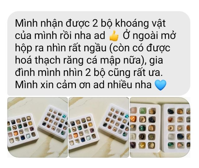 Bộ hoá thạch và tinh thể khoáng vật