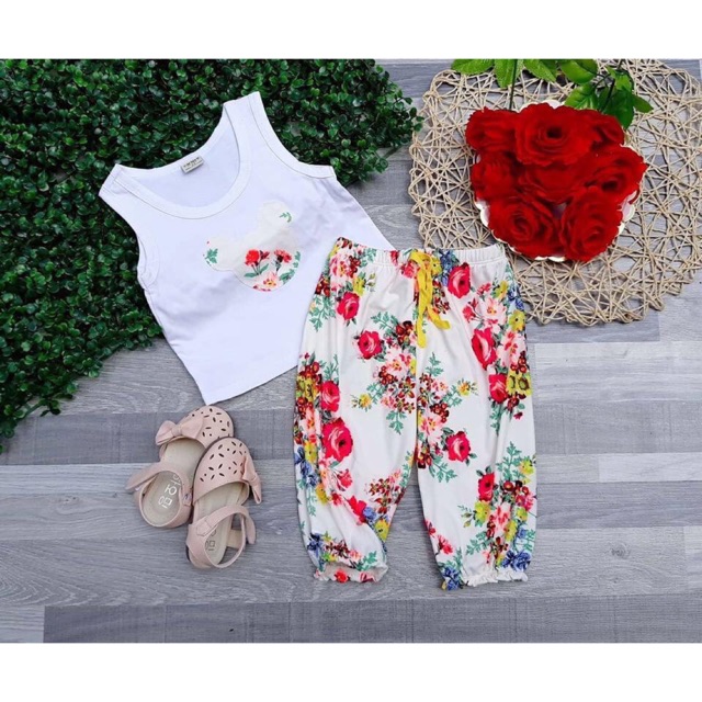 Bộ alibaa đơn 2 15ri