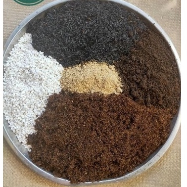 Túi Đất trộn sẵn cao cấp trồng sen đá ,xương rồng, cây cảnh,dinh dưỡng,tơi xốp,thoát nước tốt , kích thước: (12x18cm)