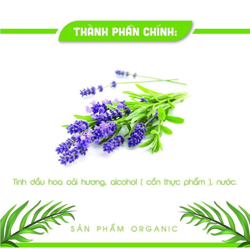 Xịt Phòng Tinh Dầu Oải Hương giúp tinh thần thoải mái, ngủ ngon 250ml, thảo mộc AN AN.