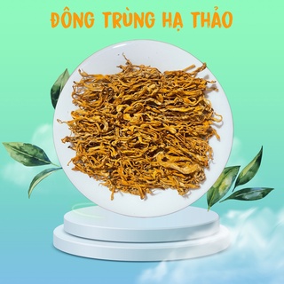 Đông trung hạ thảo sấy khô loại 1 vàng ươm 100g