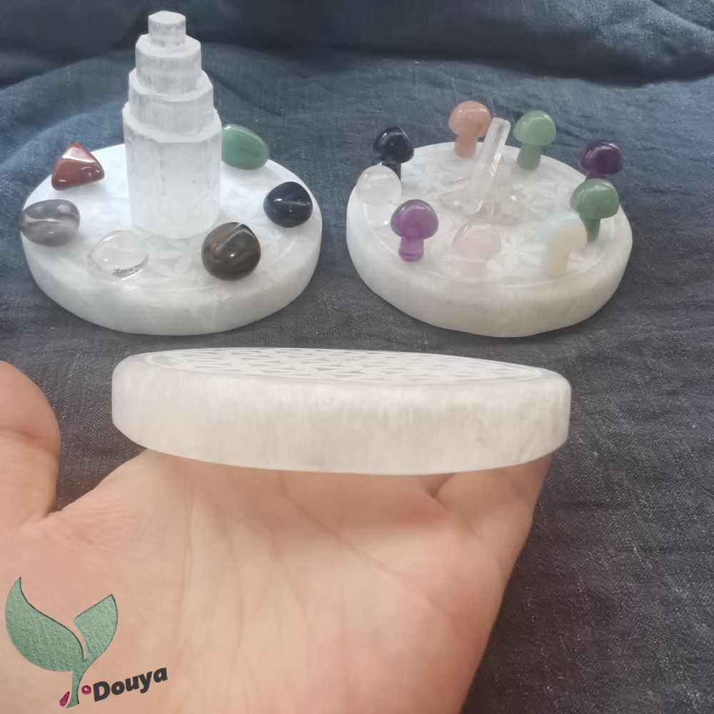 Đĩa Sạc In Hình Hoa Màu Trắng 10Cm