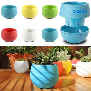 Khay đựng chậu cây sen đá / chậu hoa để bàn trang trí dễ thương
