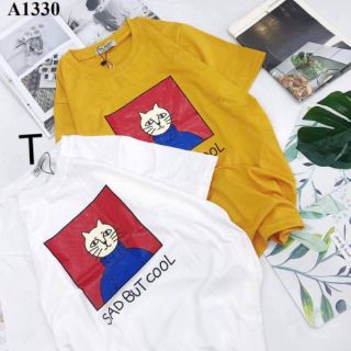 Áo mèo sad but cool [tr03]