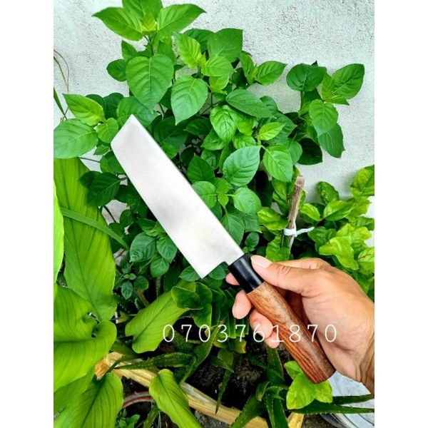 Dao thái thịt nội địa Nhật Bản