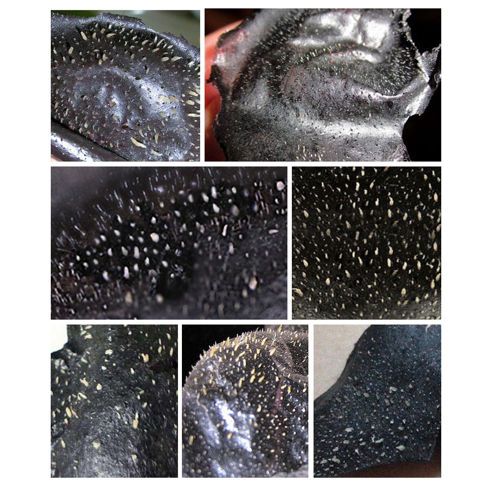 Mặt nạ lột mụn đầu đen mũi LANBENA miếng lột mụn đầu đen chiết xuất than tre blackhead mask 50g