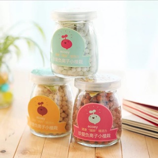 Cây mini để bàn