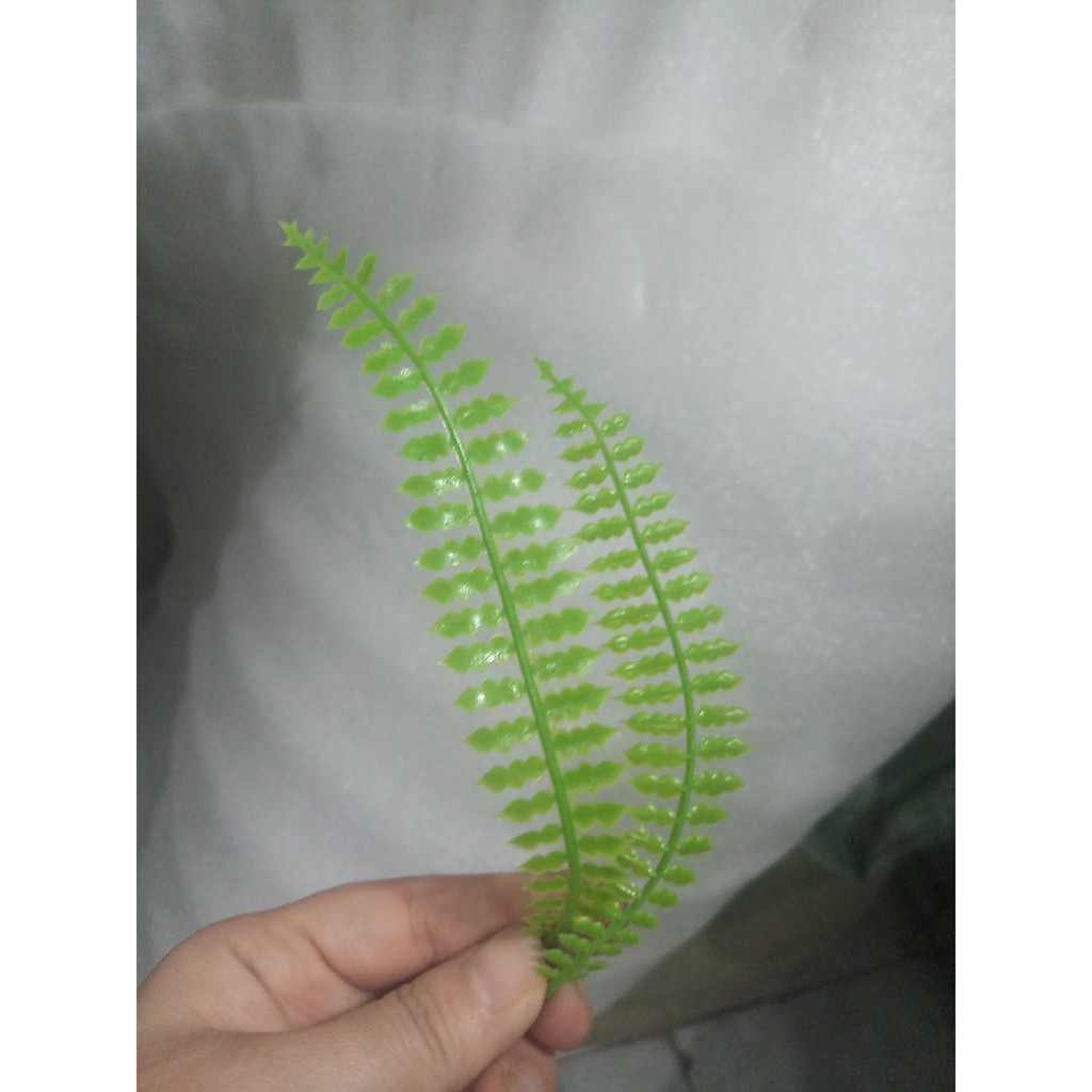 100 gr cỏ điểm