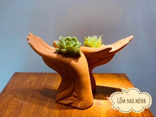 Chậu Bàn Tay đất nung