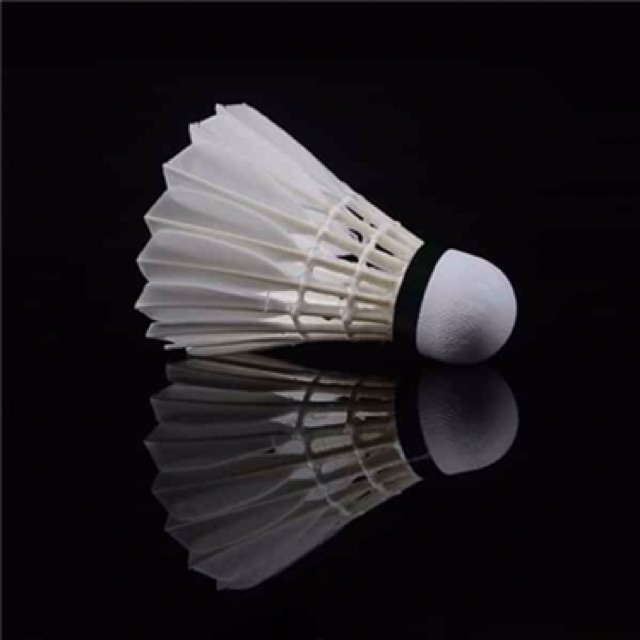 Cầu Lông Tiến Bộ 888 - Cầu Chất Lượng Cao Dành Cho Các Vận Động Viên Thi Đấu Quốc Gia Và Quốc Tế