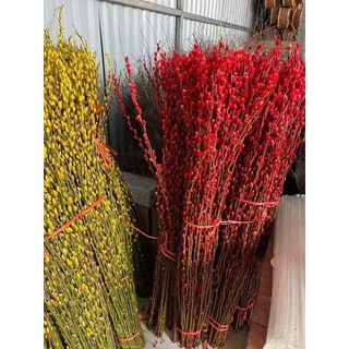 Bình Nụ Tầm Xuân Mini Để Bàn 50x50cm