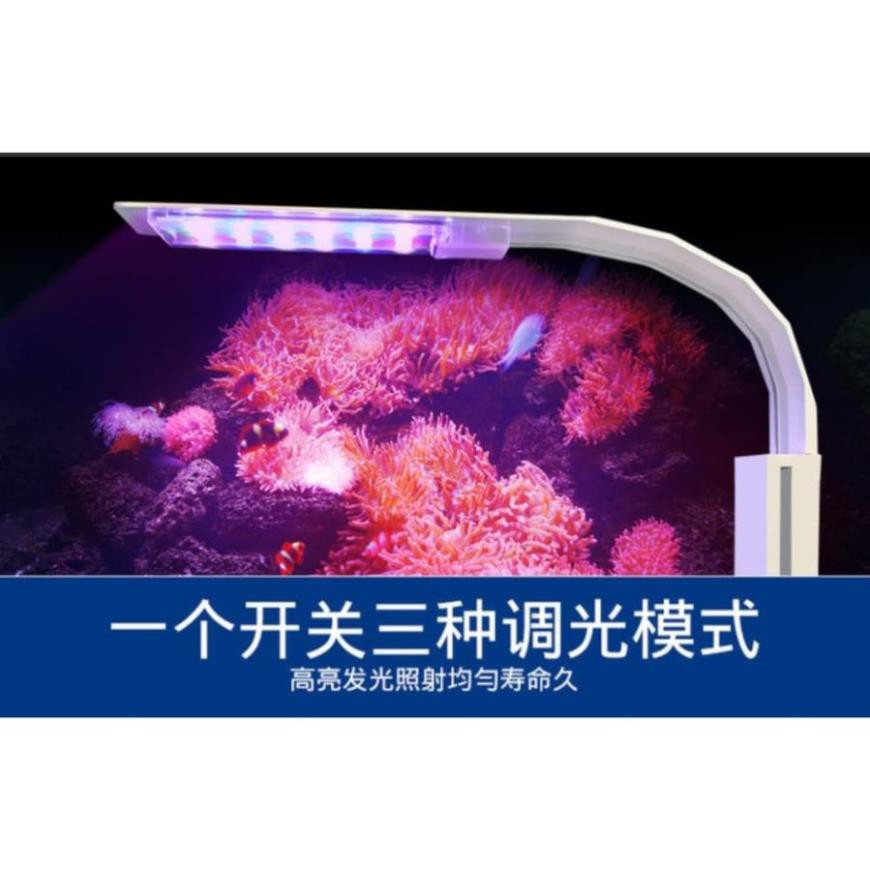 Đèn kẹp thành bể bật tắt 3 chế độ màu- Đèn thủy sinh WRGB thế hệ mới