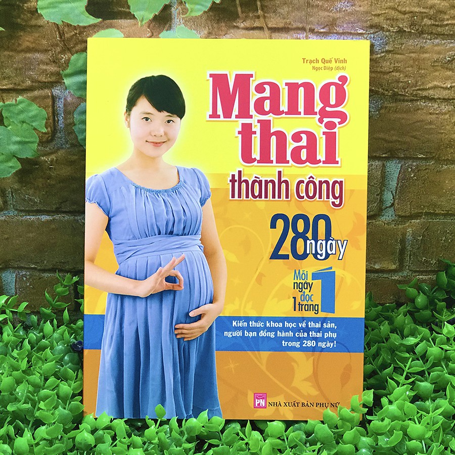 [Mã BMBAU50 giảm 10% đơn 99k] Sách: Mang Thai Thành Công - 280 Ngày, Mỗi Ngày Đọc 1 Trang