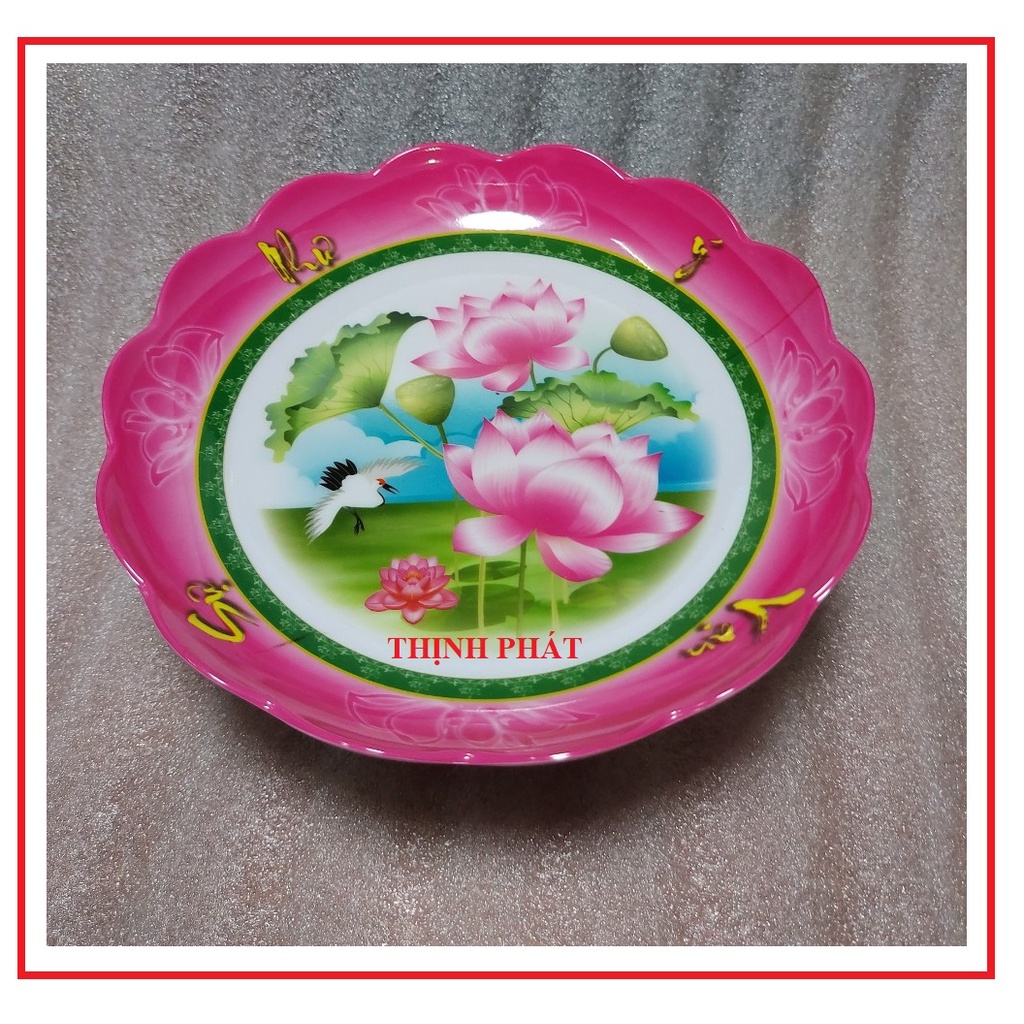 Dĩa chưng trái cây - chò chưng ngũ quả nhựa melamine đủ size - GIAO MÀU NGẪU NHIÊN