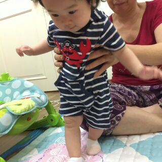 Sỉ body Carter xuất xịn