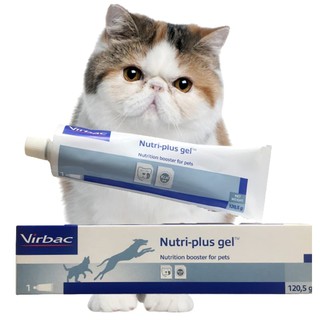 Gel ăn dinh dưỡng chó mèo Virbac Nutri-plus Gel 120g