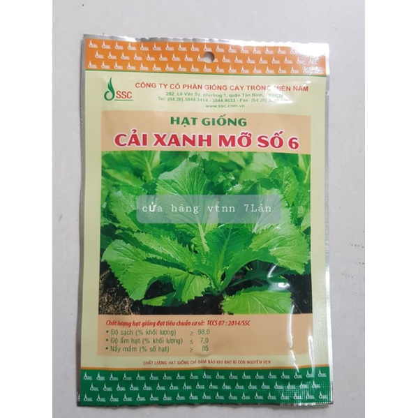 Hạt giống Cải Bẹ Xanh mỡ