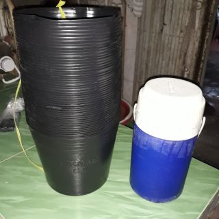 Chậu nhựa C8__50 cái_liên an