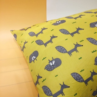 Áo gối 45x65