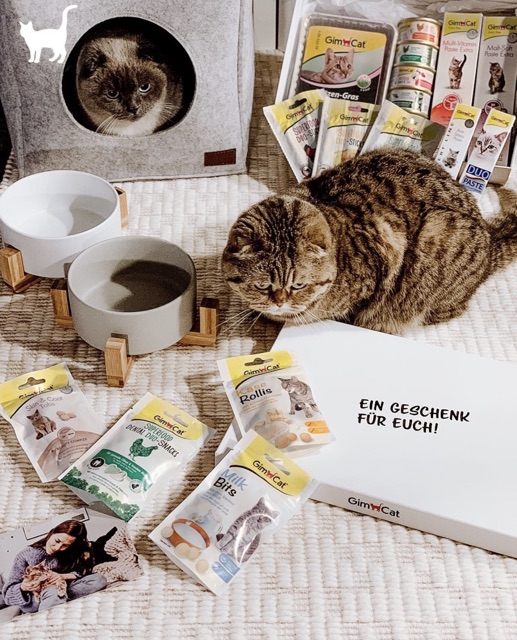 [𝐆𝐢𝐚́ 𝐡𝐮𝐲̉ 𝐝𝐢𝐞̣̂𝐭] Gimcat Viên phô mai dinh dưỡng 140g