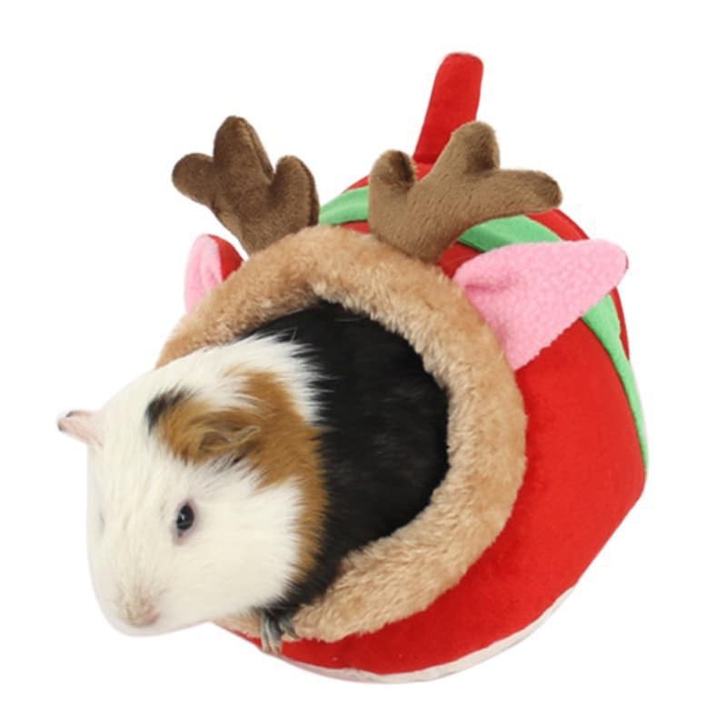 Đệm ngủ cho sóc, hamster, Guinea pig