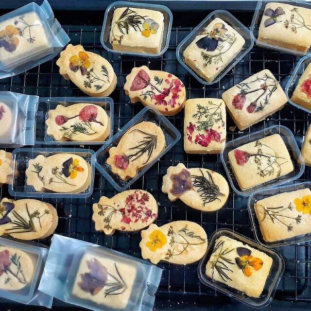 Khay đựng bánh dứa 100 chiếc