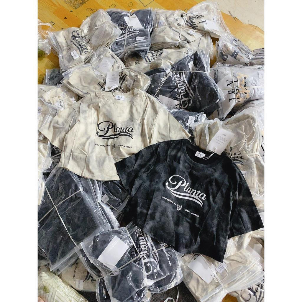 Áo croptop Pull loang Planta hàng QC