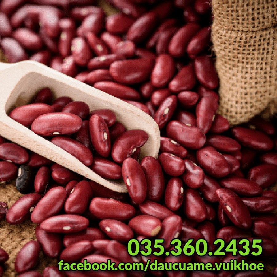 Đậu đỏ hạt to