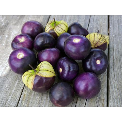 Hạt Giống Thù Lù Tím Khổng Lồ F1 (Tomatillo Really Purple) Nhập Khẩu Mỹ - 40 Hạt