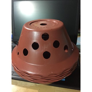 5 chậu nhựa bèo đất D20