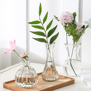 LỌ CẮM HOA THUỶ TINH 🌸 tặng kèm dây thừng 🌸