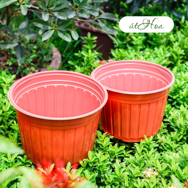 [ SLl giá rẻ]  Chậu nhựa nâu N28 (28x20.5 cm) trồng cây loại lớn