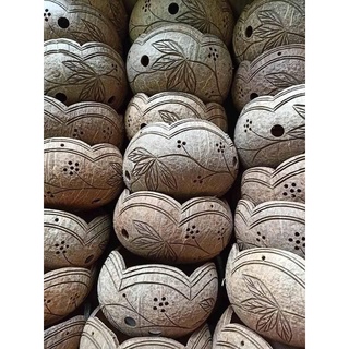 ComBo 2 Chậu Trồng Lan Bằng Gáo Dừa (Tại Góc)