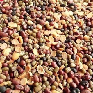 BỘT NGŨ CỐC 5 loại đậu mầm - 500g