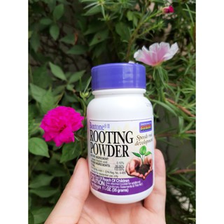 ROOTING-POWDER MỸ DẠNG BỘT SIÊU KÍCH RỂ GIÂM CHIẾT CÀNH, CHỐNG KHUẨN (HỘP 35G)