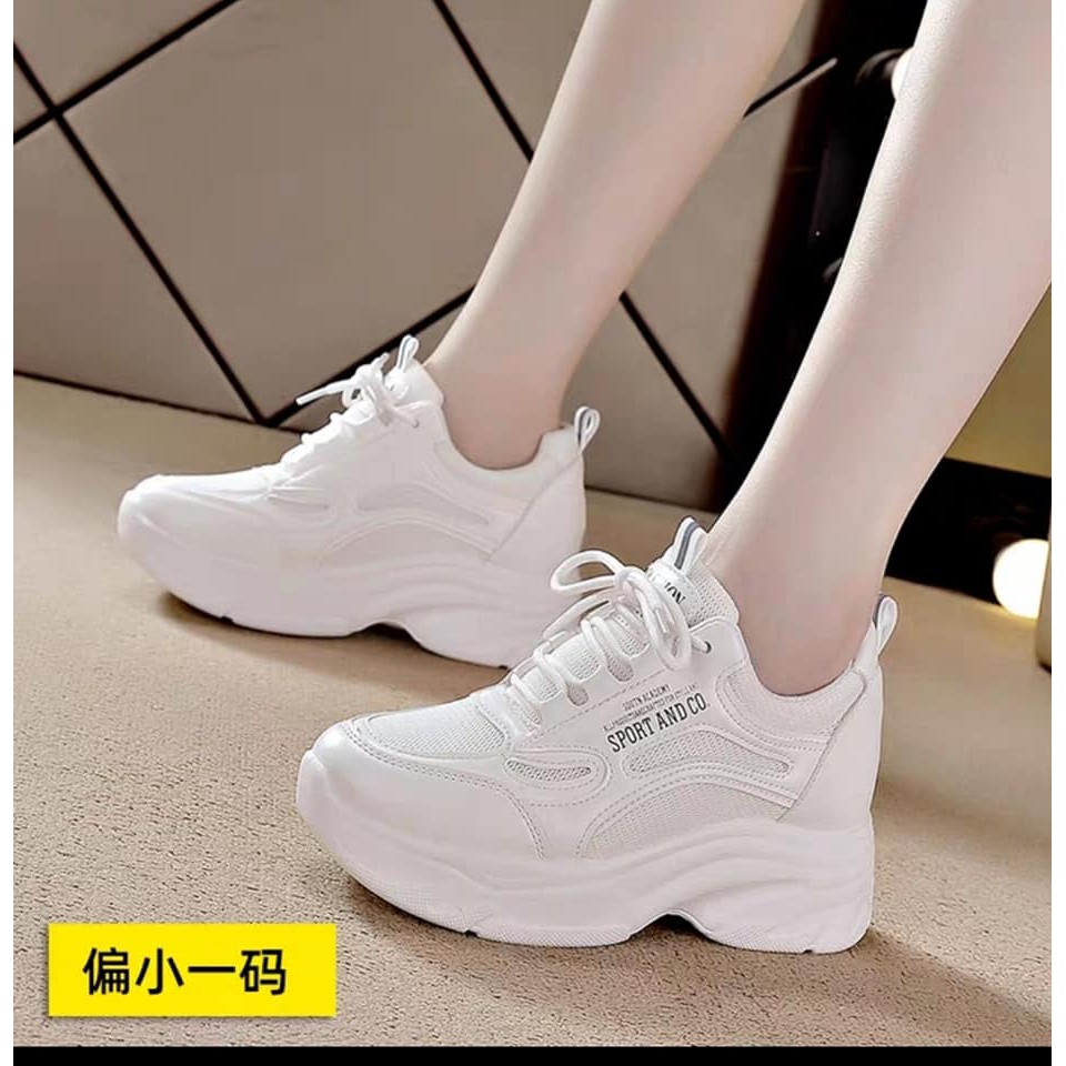 Giầy thể thao nữ độn đế 7p mẫu mới nhất 2021